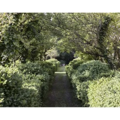 Le Dimore del Borgo - Discovering Borgo del Balsamico - 2 Days 1 Night - Cortina Suite - 2 Persons - Vinegar Experience - Avvenice