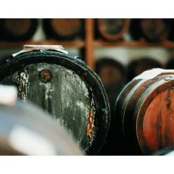 Le Dimore del Borgo - Discovering Borgo del Balsamico - 3 Days 2 Nights - Glicine Suite - 4 Persons - Vinegar Experience - Avvenice