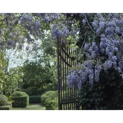 Le Dimore del Borgo - Discovering Borgo del Balsamico - 3 Days 2 Nights - Cortina Suite - 2 Persons - Vinegar Experience - Avvenice