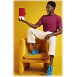 Libratone - Zipp 2 - Frost Grey - High Quality Speaker - Alexa, Airplay, Bluetooth, Wireless, DLNA, WiFi - Avvenice