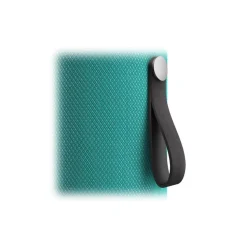 Libratone - Zipp 2 - Pine Green - High Quality Speaker - Alexa, Airplay, Bluetooth, Wireless, DLNA, WiFi - Avvenice