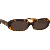 Linda Farrow - Cara Oval Sunglasses in Tortoiseshell - LFL1252C2SUN - Linda Farrow Eyewear - Avvenice