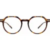Linda Farrow - Griffin A Oval Optical Glasses in Tortoiseshell - LF50AC2OPT - Linda Farrow Eyewear - Avvenice