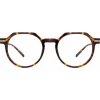 Linda Farrow - Griffin Oval Optical Glasses in Tortoiseshell - LF50C2OPT - Linda Farrow Eyewear - Avvenice