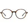 Linda Farrow - Merrick A Oval Optical Glasses in Tortoiseshell - LF51AC2OPT - Linda Farrow Eyewear - Avvenice