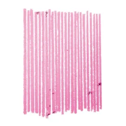 MAC Cosmetics - Lip Pencil - Lips Pencils - Luxury - Avvenice