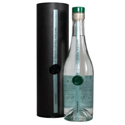 Marchiopolo - Collezione Distillati - Avvenice