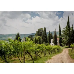 Massimago Wine Relais - MasterChef Experience - 5 Days 4 Nights - Avvenice