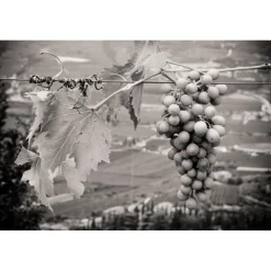 Massimago Wine Relais - MasterChef Experience - 4 Days 3 Nights - Avvenice