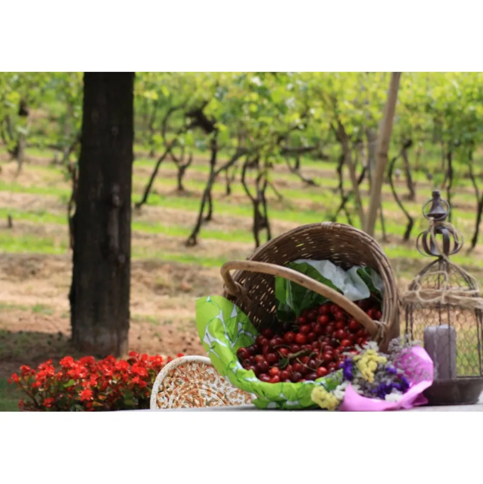 Massimago Wine Relais - Valpolicella Relax Experience - 3 Days 2 Nights - Avvenice