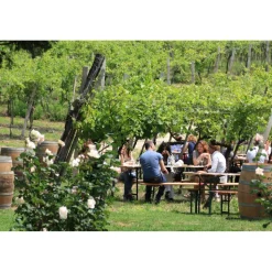 Massimago Wine Relais - Valpolicella Relax Experience - 3 Days 2 Nights - Avvenice