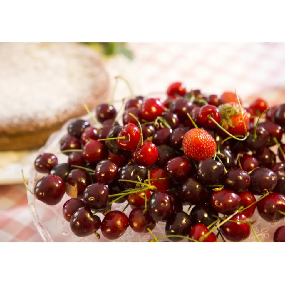 Massimago Wine Relais - Valpolicella Relax Experience - 3 Days 2 Nights - Avvenice