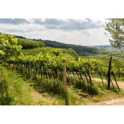 Massimago Wine Relais - Valpolicella Relax Experience - 5 Days 4 Nights - Avvenice