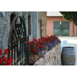 Massimago Wine Relais - Valpolicella Relax Experience - 5 Days 4 Nights - Avvenice