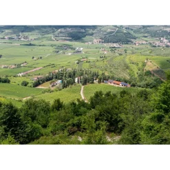 Massimago Wine Relais - Valpolicella Wine & Relax - Apartment - 4 Persons - 5 Days 4 Nights - Avvenice