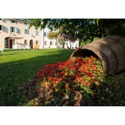 Massimago Wine Relais - Valpolicella Relax Experience - 4 Days 3 Nights - Avvenice