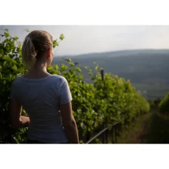 Massimago Wine Relais - Valpolicella Relax Experience - 4 Days 3 Nights - Avvenice