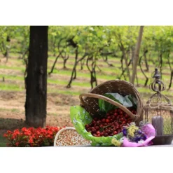 Massimago Wine Relais - Valpolicella Wine & Relax - Apartment - 4 Persons - 4 Days 3 Nights - Avvenice