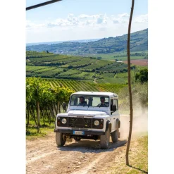 Massimago Wine Relais - Valpolicella Wine & Relax - Apartment - 4 Persons - 4 Days 3 Nights - Avvenice