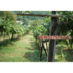 Massimago Wine Relais - Valpolicella Wine & Relax - Apartment - 4 Persons - 4 Days 3 Nights - Avvenice