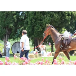 Massimago Wine Relais - Wine Tasting & Nature - 3 Days 2 Nights - Avvenice