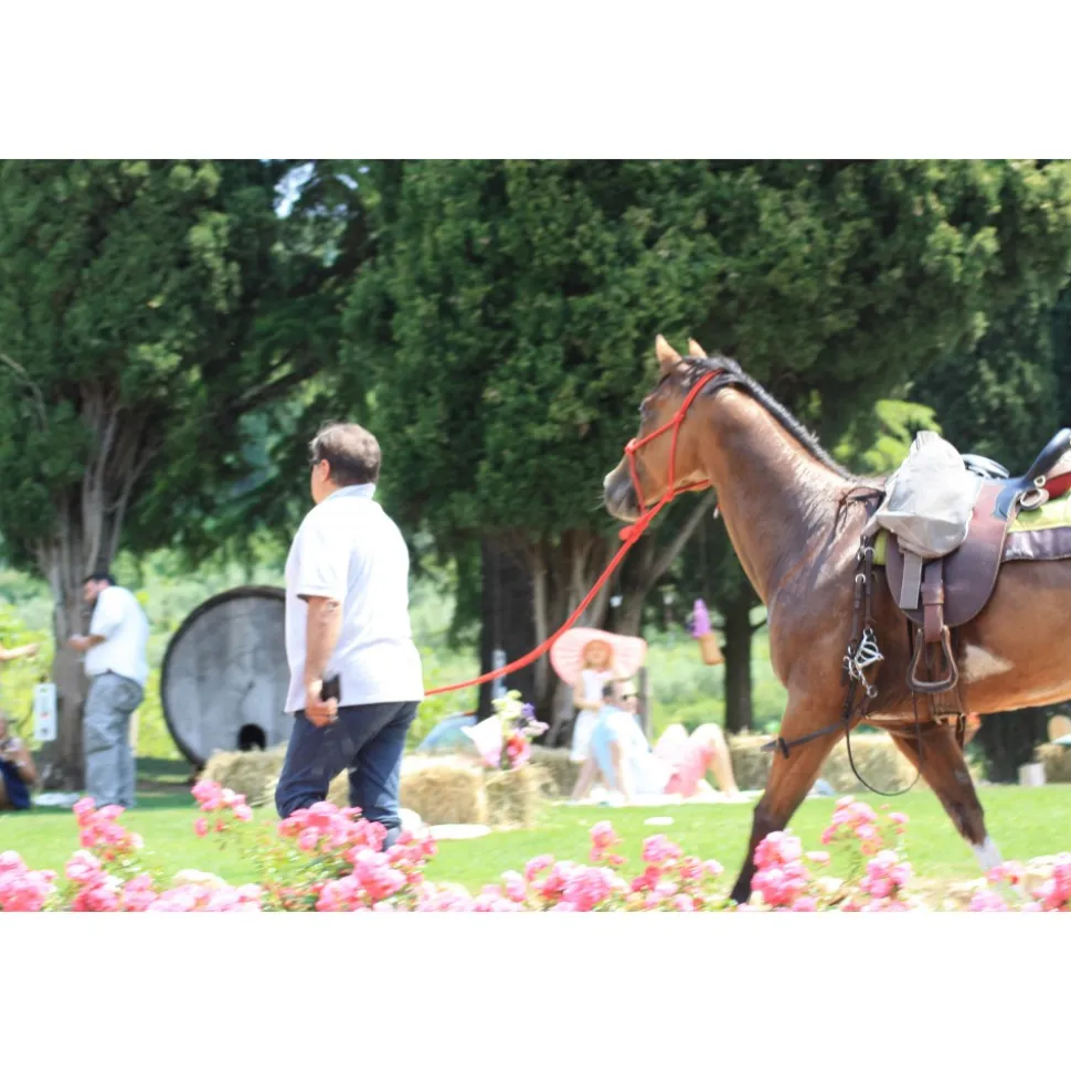 Massimago Wine Relais - Wine Tasting & Nature - 3 Days 2 Nights - Avvenice