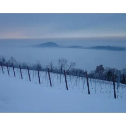 Massimago Wine Relais - Wine Tasting & Nature - 4 Days 3 Nights - Avvenice