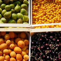 Massimago Wine Relais - Wine Tasting & Nature - 4 Days 3 Nights - Avvenice