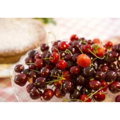 Massimago Wine Relais - Wine Tasting & Nature - 4 Days 3 Nights - Avvenice