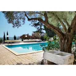 Massimago Wine Relais - Wine Tasting & Nature - 4 Days 3 Nights - Avvenice