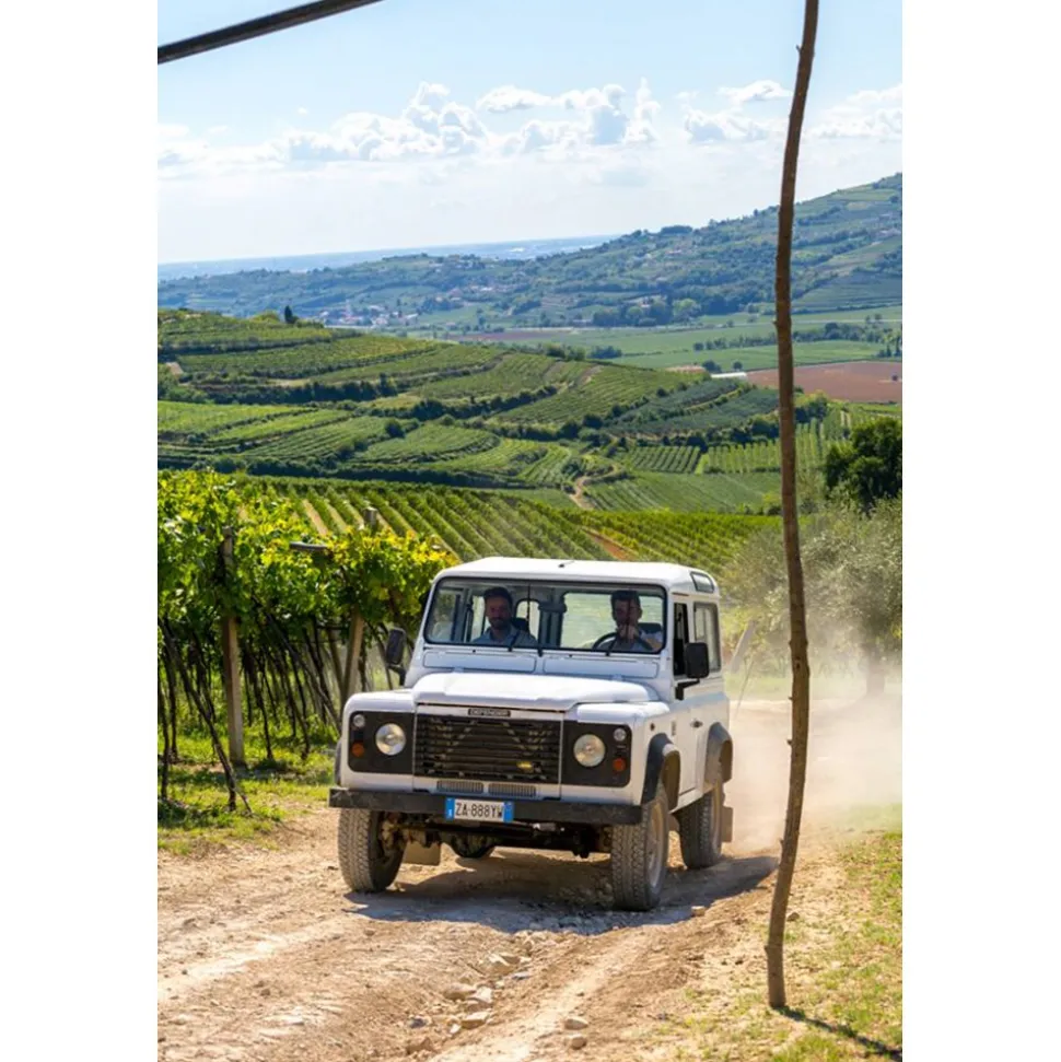 Massimago Wine Relais - Wine Tasting & Nature - 5 Days 4 Nights - Avvenice