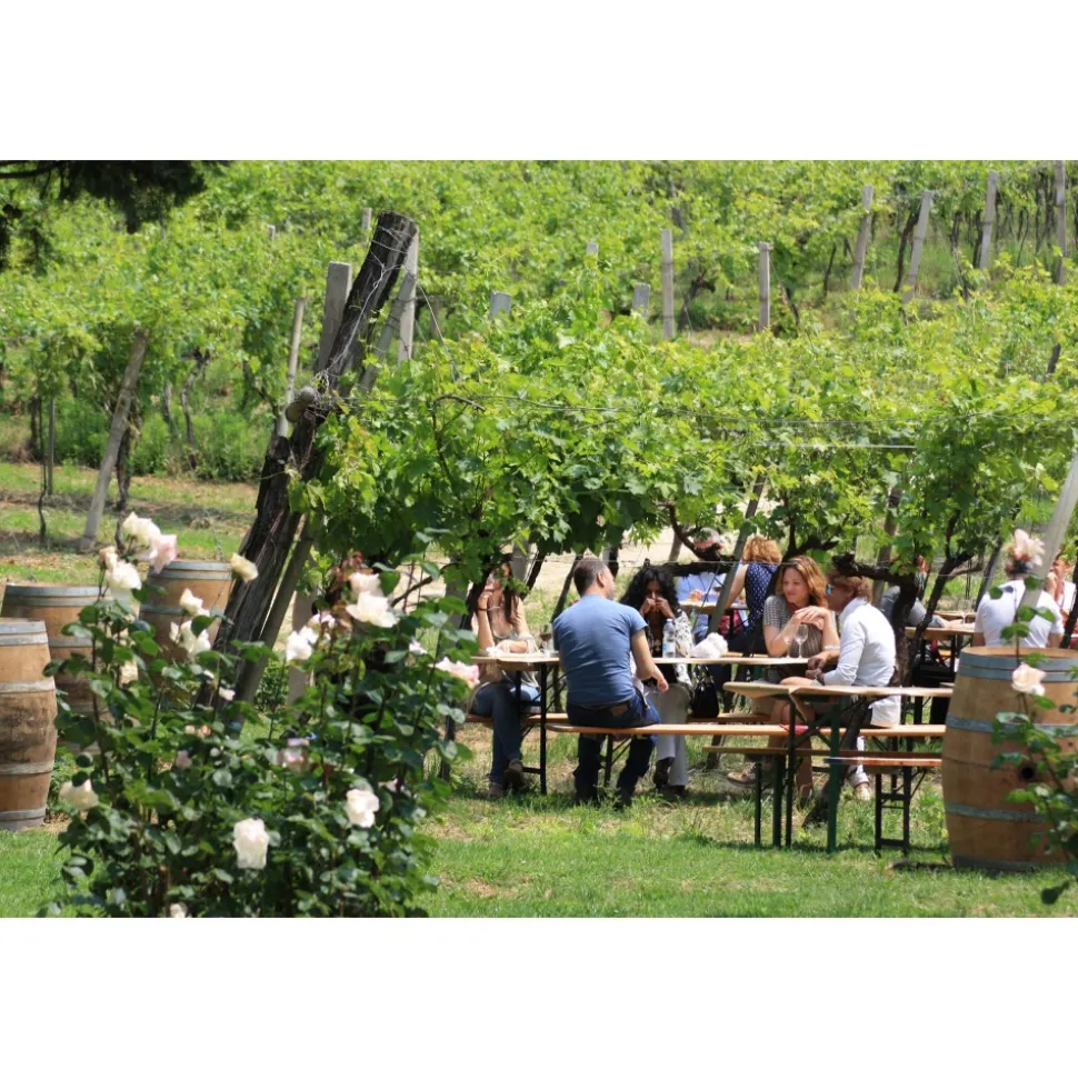 Massimago Wine Relais - Wine Tasting & Nature - 5 Days 4 Nights - Avvenice