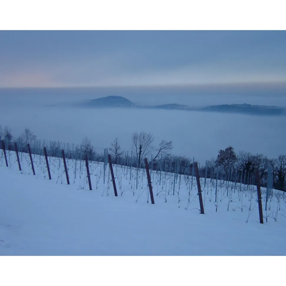 Massimago Wine Relais - Wine Tasting & Nature - 5 Days 4 Nights - Avvenice