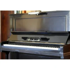 Massimago Wine Relais - Wine Tasting & Nature - 5 Days 4 Nights - Avvenice