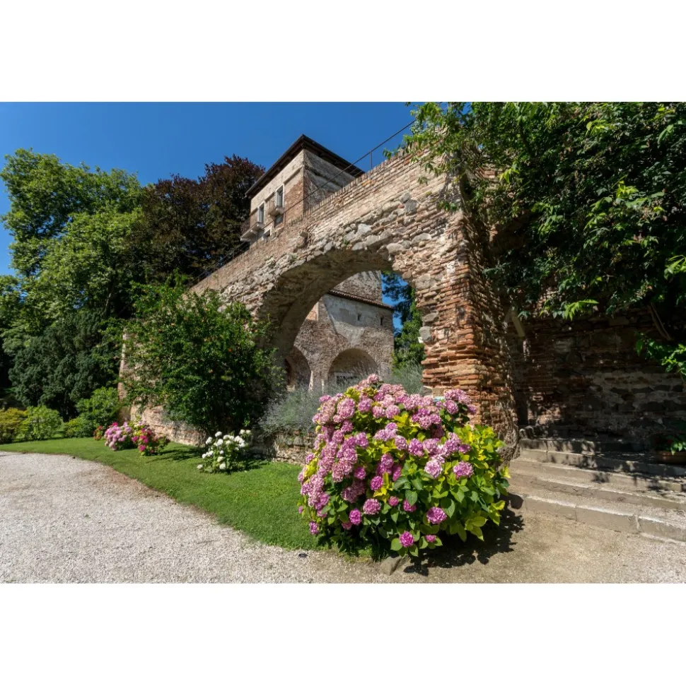 Massimago Wine Tower - Wine Tasting Experience - 3 Days 2 Nights - Avvenice