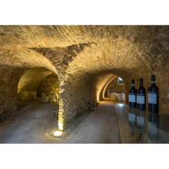 Massimago Wine Tower - Wine Tasting Experience - 3 Days 2 Nights - Avvenice