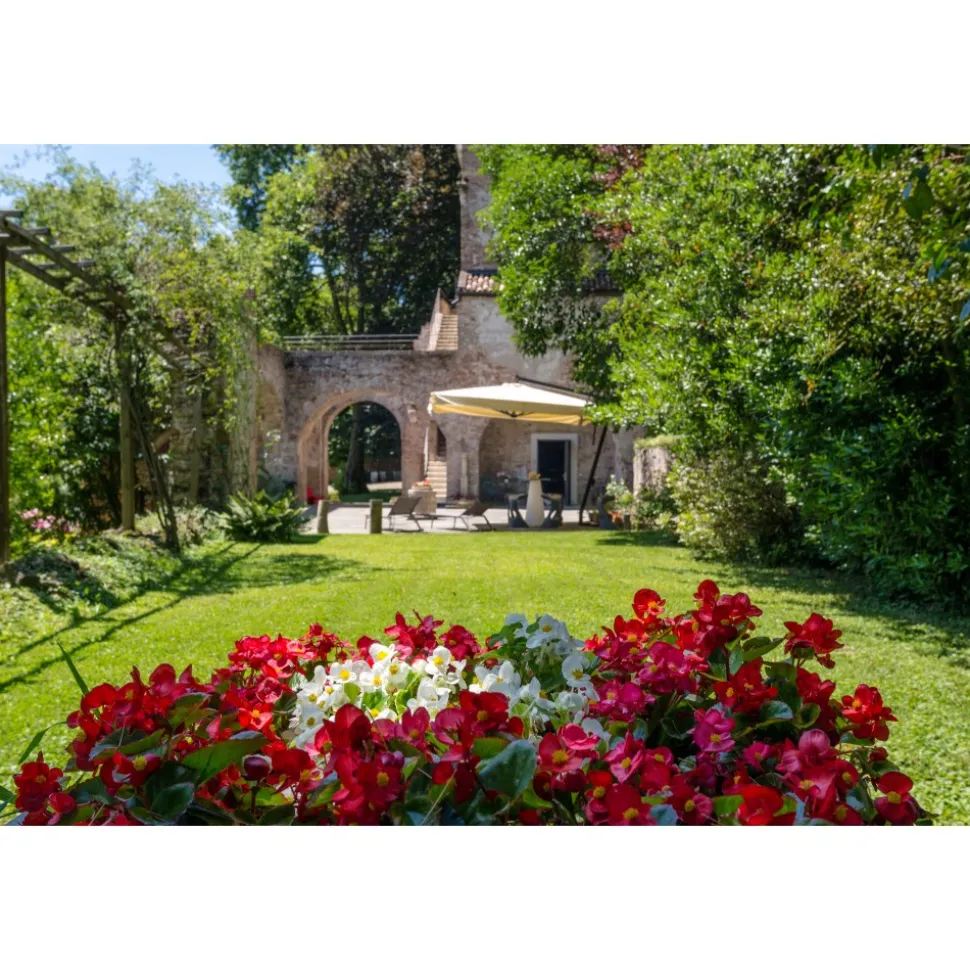 Massimago Wine Tower - Wine Tasting Experience - 5 Days 4 Nights - Avvenice