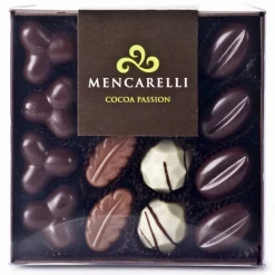 Mencarelli Cocoa Passion - Transparent Box 16 Pralines Assorted - Artisan Chocolates 160 g - Avvenice