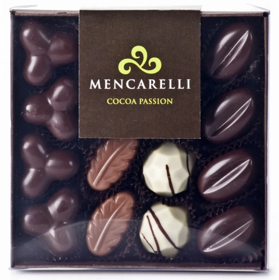 Mencarelli Cocoa Passion - Transparent Box 16 Pralines Assorted - Artisan Chocolates 160 g - Avvenice