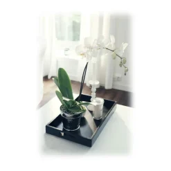 Mikol Marmi - White Wooden Trays - Medium - Real Marble - Living - Mikol Marmi Collection - Avvenice