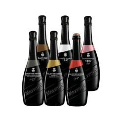 Mionetto - Tasting Valdobbiadene Prosecco DOCG - Luxury Limited Collection - High Quality - Prosecco and Sparkling Wines - Avvenice