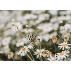 Monte Carlo Travel 1985 - AREV Hotel - St Tropez - 3 Days 2 Nights - Cannes - France - Exclusive Luxury - Avvenice