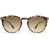 Mykita - Keelut - Lite - Gold Brown - Acetate Collection - Sunglasses - Mykita Eyewear - Avvenice