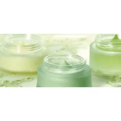 Naturalis Bio Resort & Spa - Special Wellness - 4 Days 3 Nights - Avvenice