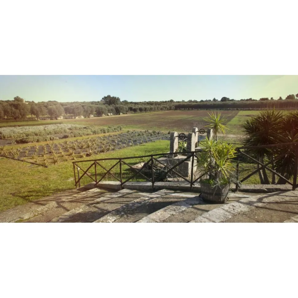 Naturalis Bio Resort & Spa - Special Green August - 3 Days 2 Nights - Avvenice