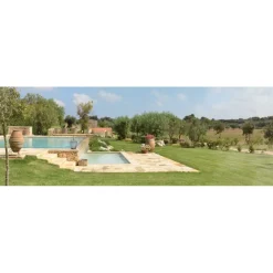 Naturalis Bio Resort & Spa - Special Wellness - 3 Days 2 Nights - Avvenice