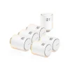 Netatmo - 6 Additional Valves - Intelligent Valves - Avvenice