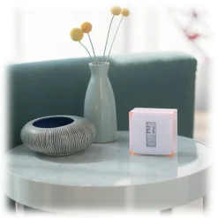 Netatmo - Smart Thermostat for Autonomous Boiler - Intelligent Thermostat - Smart Home - Avvenice