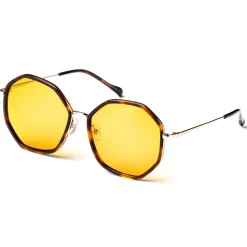 No Logo Eyewear - NOL18057 Sun - Havana and Gold -  Sunglasses - Avvenice