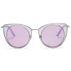 No Logo Eyewear - NOL30281 Sun - Violet -  Sunglasses - Avvenice